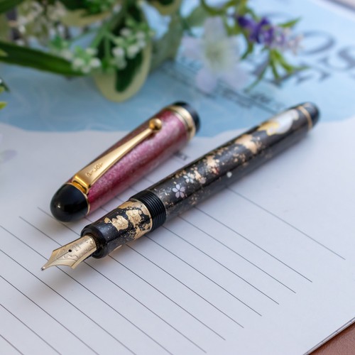 Penna stilografica