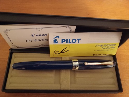 Stilografica pilot custom - stilografica, ns