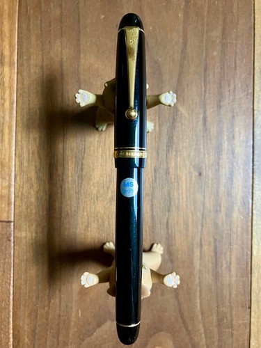Pilot custom penna - 74,